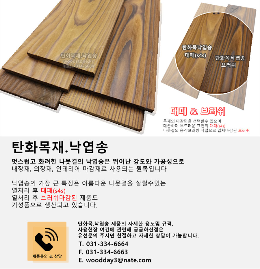250223낙엽송메인2.jpg